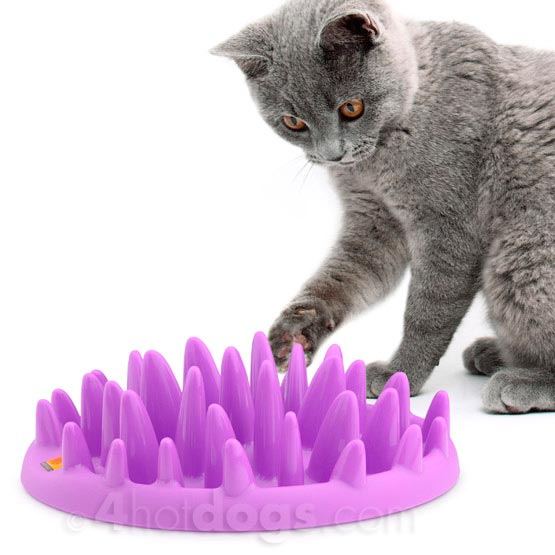 Interaktiv Foderskål til Katte fra Northmate - CATCH