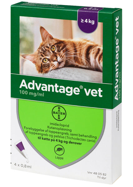 Advantage Vet 100 mg/ml Loppemiddel til Katte +4 kg
