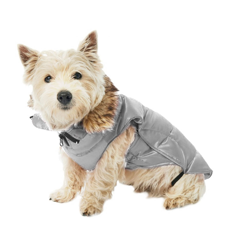 Buster Active Vinterjakke til hunde - Paloma Grey