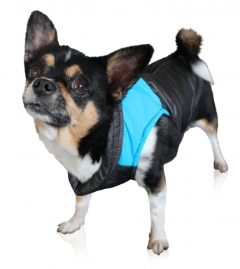 Regnbue Hundejakke Med Sele - Smart Vintertilbehør