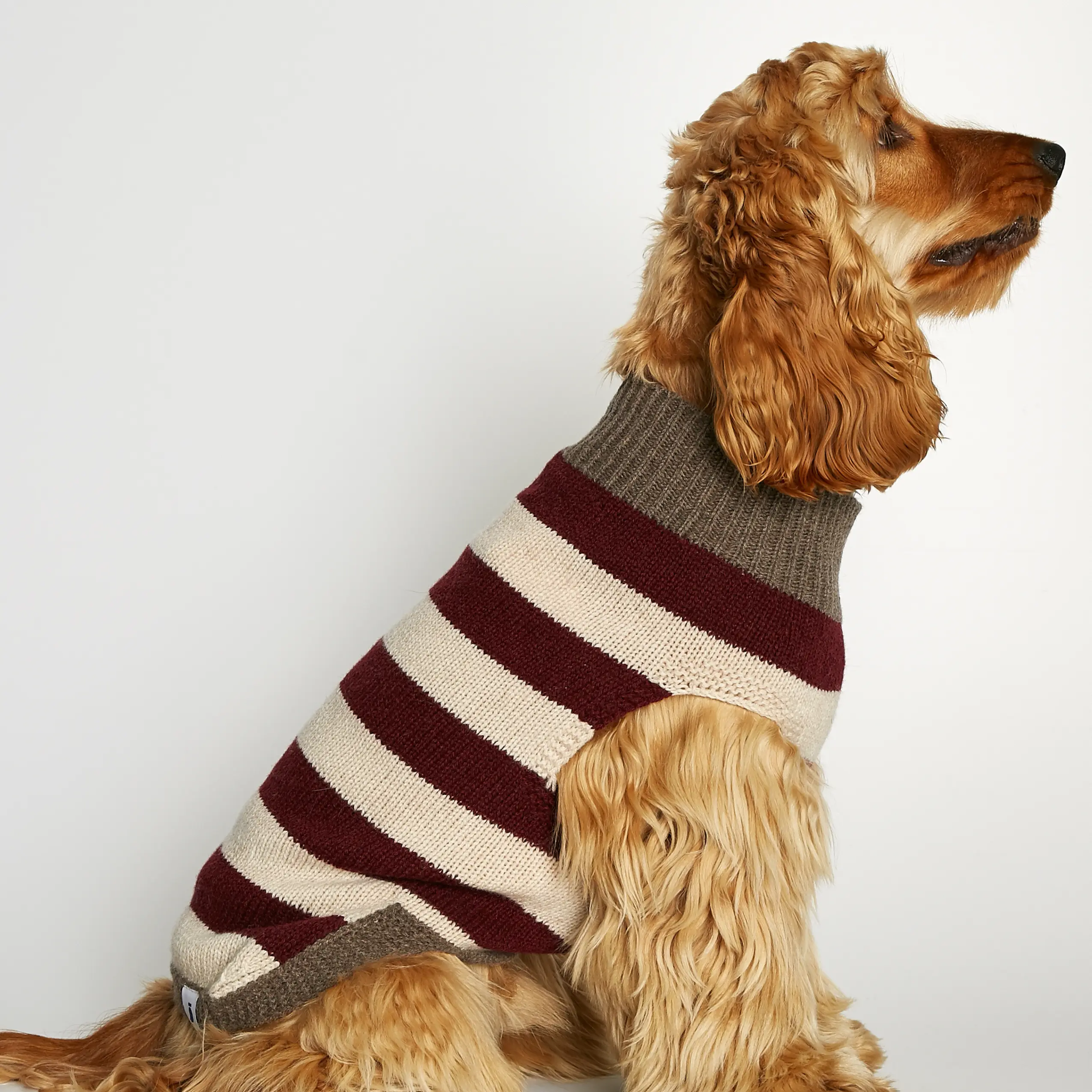 Annie Hundesweater i Merinould og Cashmere - Bordeaux Brun